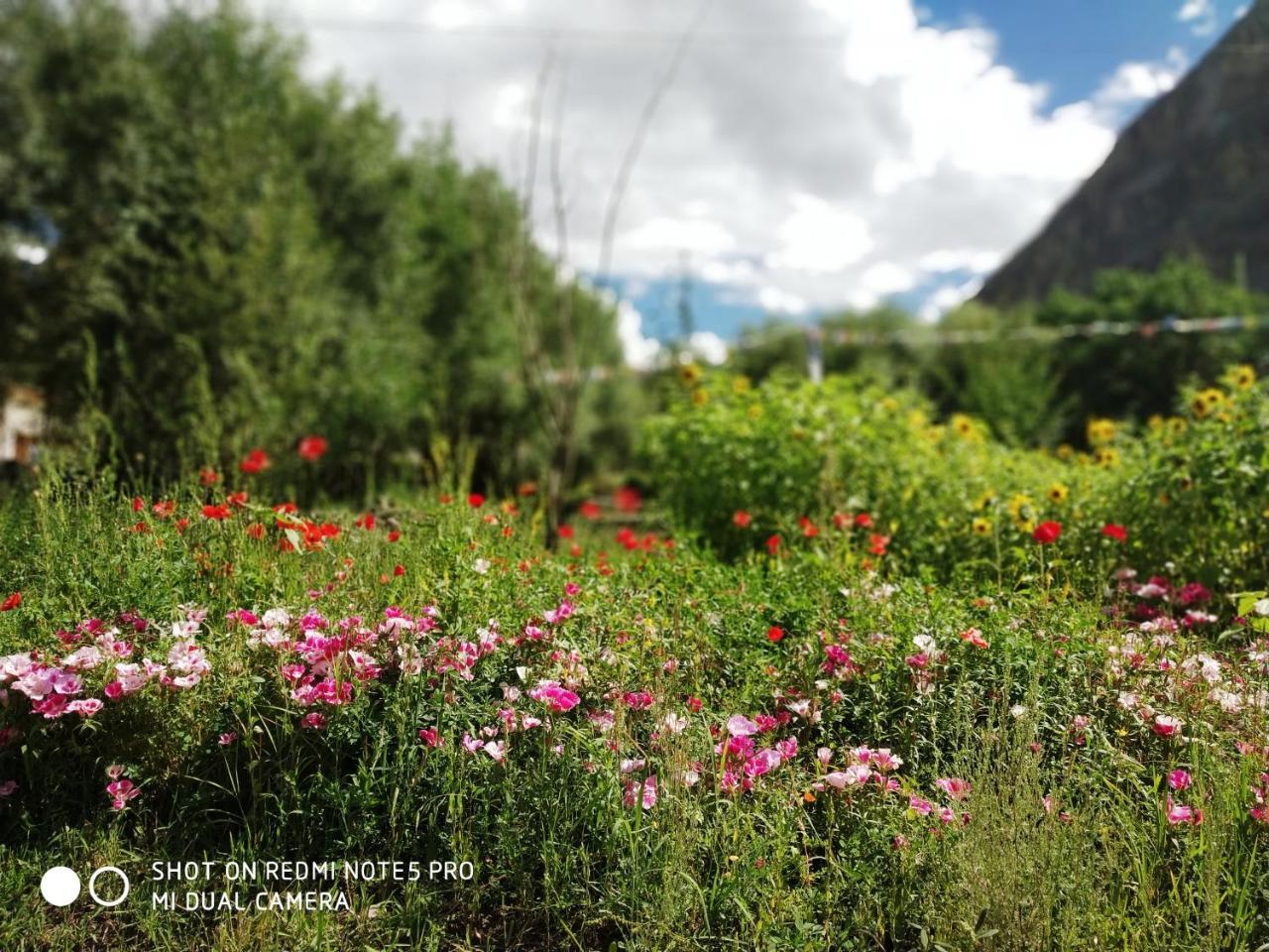 Lotus Eco Resort Hundar Εξωτερικό φωτογραφία